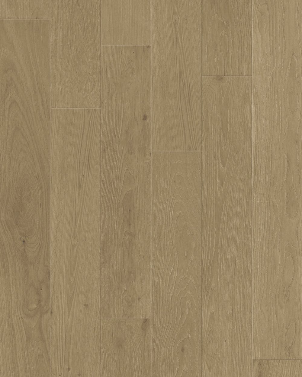 Toucan Engineered Hardwood - TCN103 | Sable