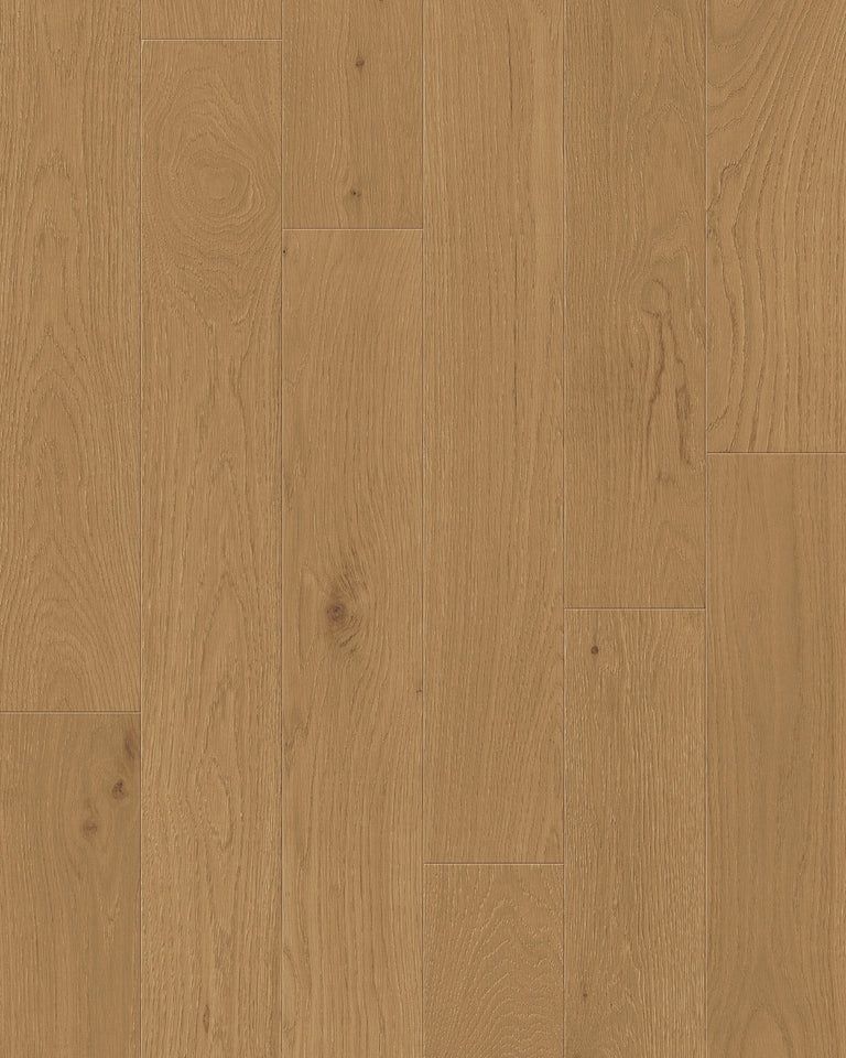 Toucan Engineered Hardwood - TCN104 | Woodland 2